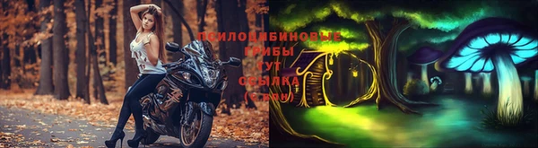 а пвп мука Коряжма