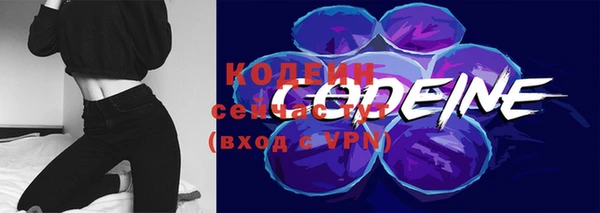каннабис Корсаков