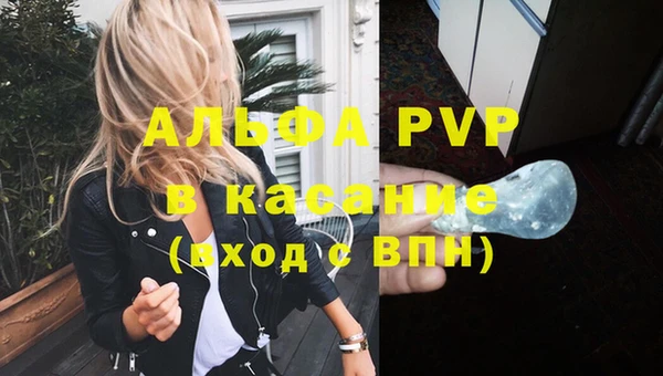 каннабис Корсаков