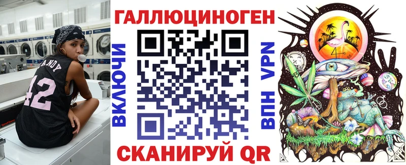 Купить  Зубцов  Галлюциногенные грибы Psilocybe 